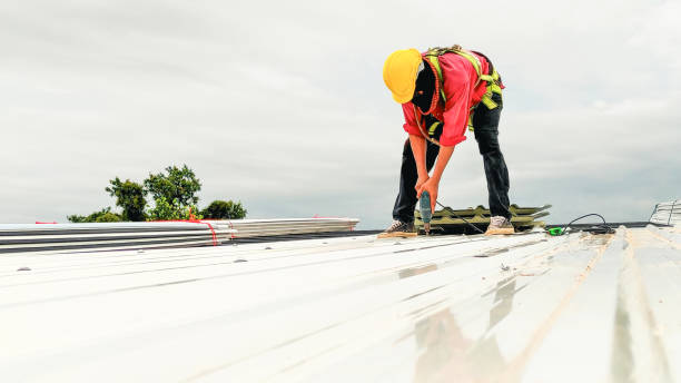 Best Chimney Flashing Repair  in Lone Star, TX