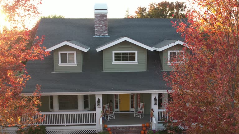 Best 4 Ply Roofing  in Lone Star, TX